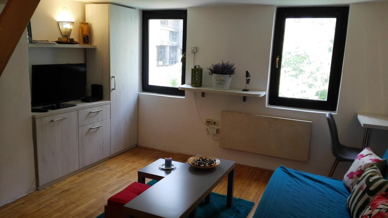 Cozy Apartment Βελιγράδι Εξωτερικό φωτογραφία